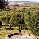 Quinta Soizas - Sao Martinho *