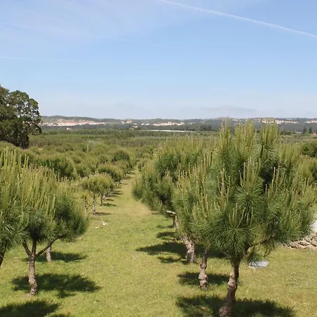 Quinta Das Soizas - Sao Martinho