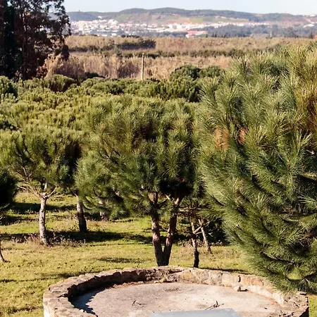 Quinta Das Soizas - Sao Martinho *