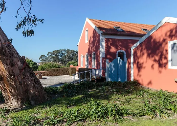 Quinta Soizas - Sao Martinho